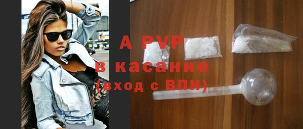 стафф Богданович