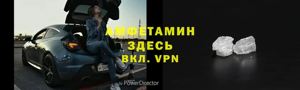 шишки Беломорск