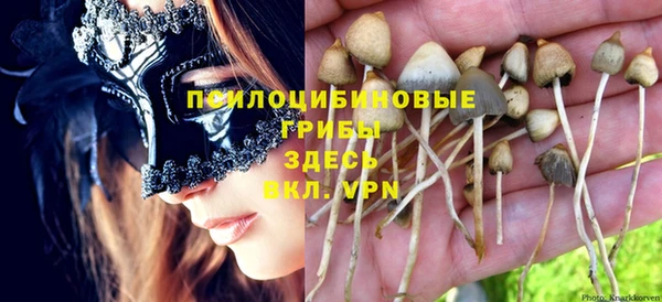 стафф Богданович
